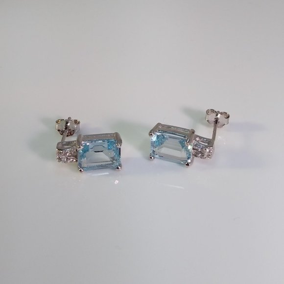 Blue Topaz Octagon Earrings 4 Carats tw - Picture 2 of 7